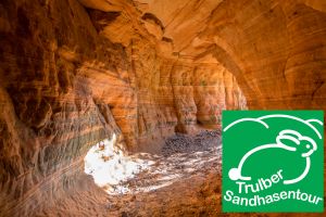Trulbener Sandhasentour